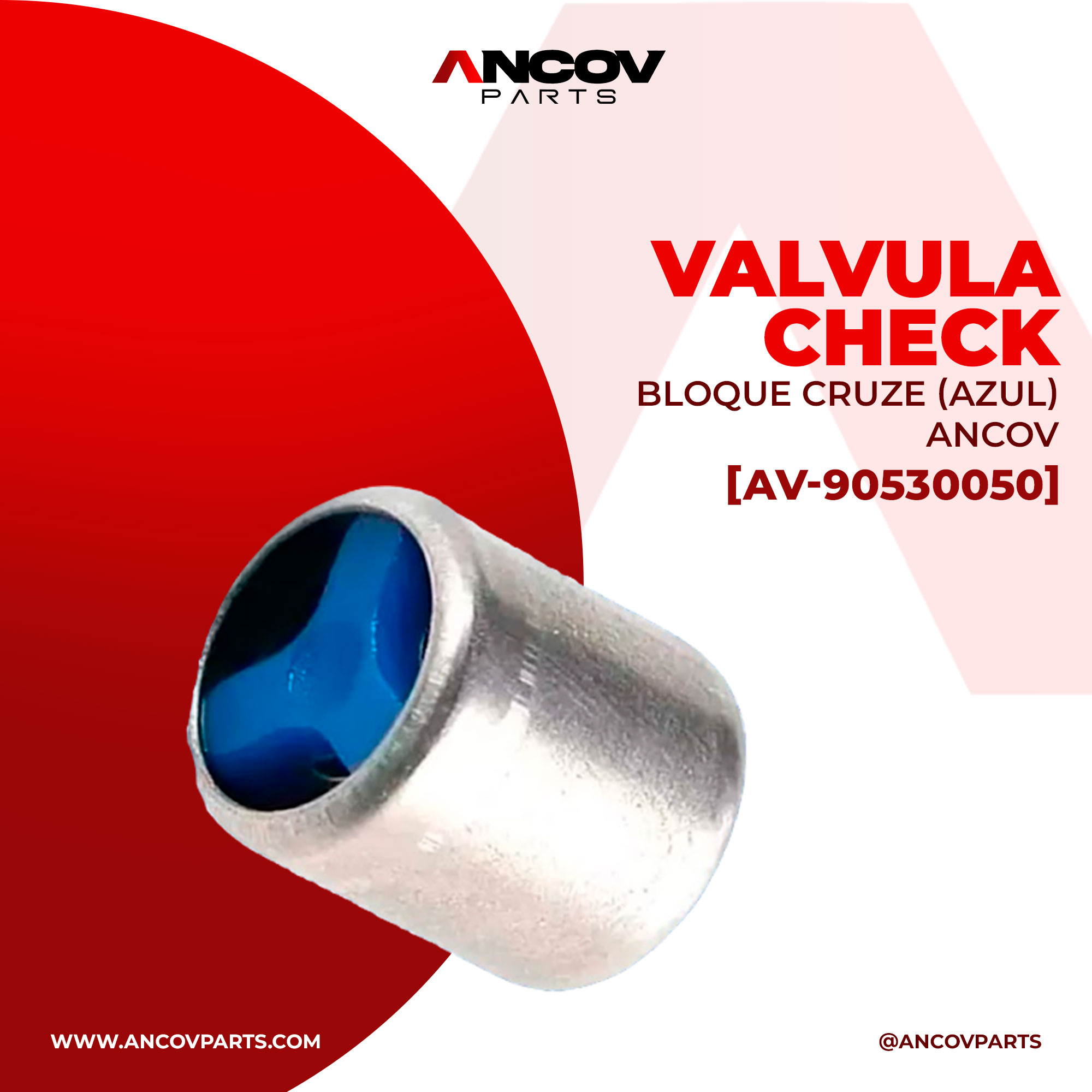 VALVULA CHECK BLOQUE CRUZE (AZUL) ANCOV